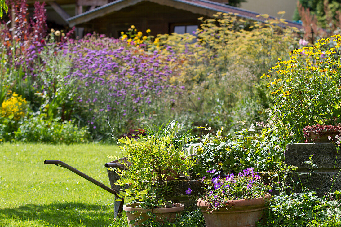 Bunter Staudengarten im Hintergrund