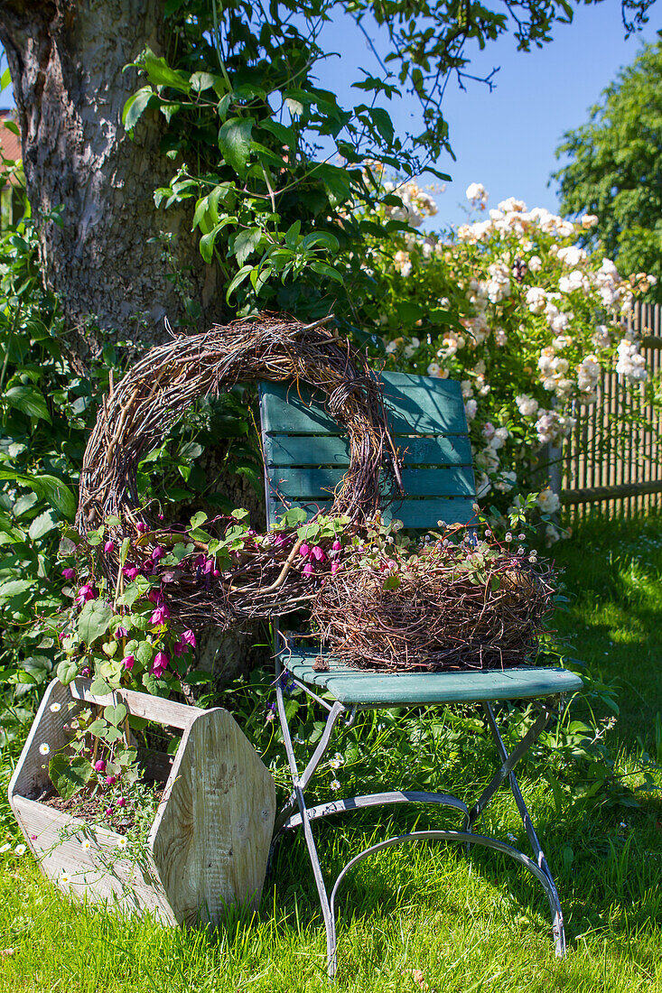 Chair with floral arrangements, rose chalice (Rhodochiton) and knotweed (Persicaria)