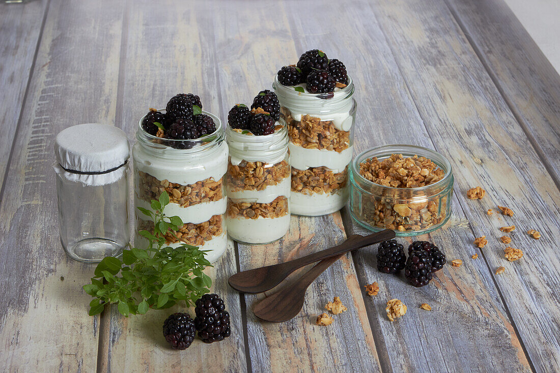 Trifle with granola, yogurt and blackberries
