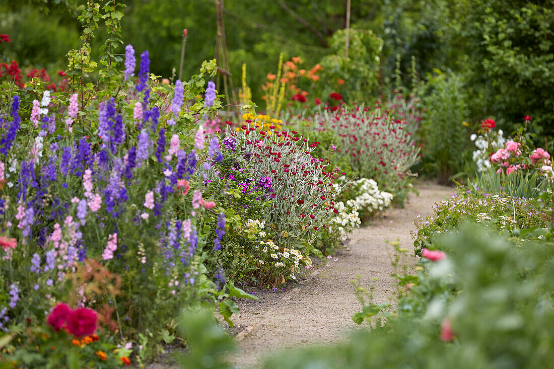 A diverse group of flowers in a perennial garden, Germany