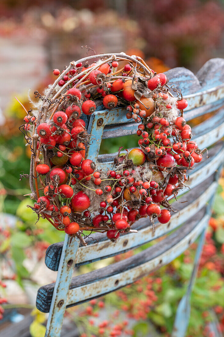 Autumn wreath of clematis twigs and rose hips