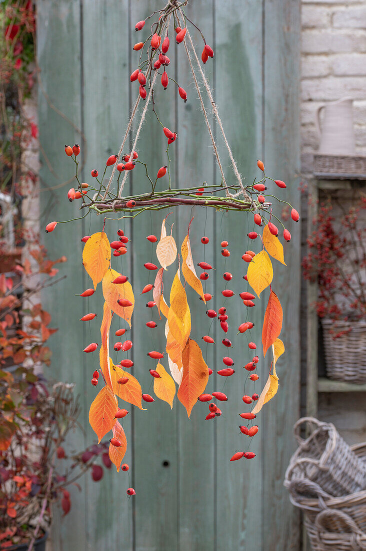 Homemade mobile made from twigs, rose hips and leaves