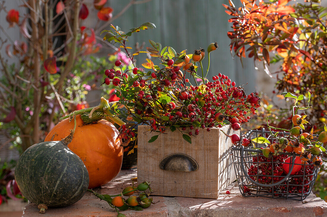 Autumn arrangement with pumpkins and rosehip branches