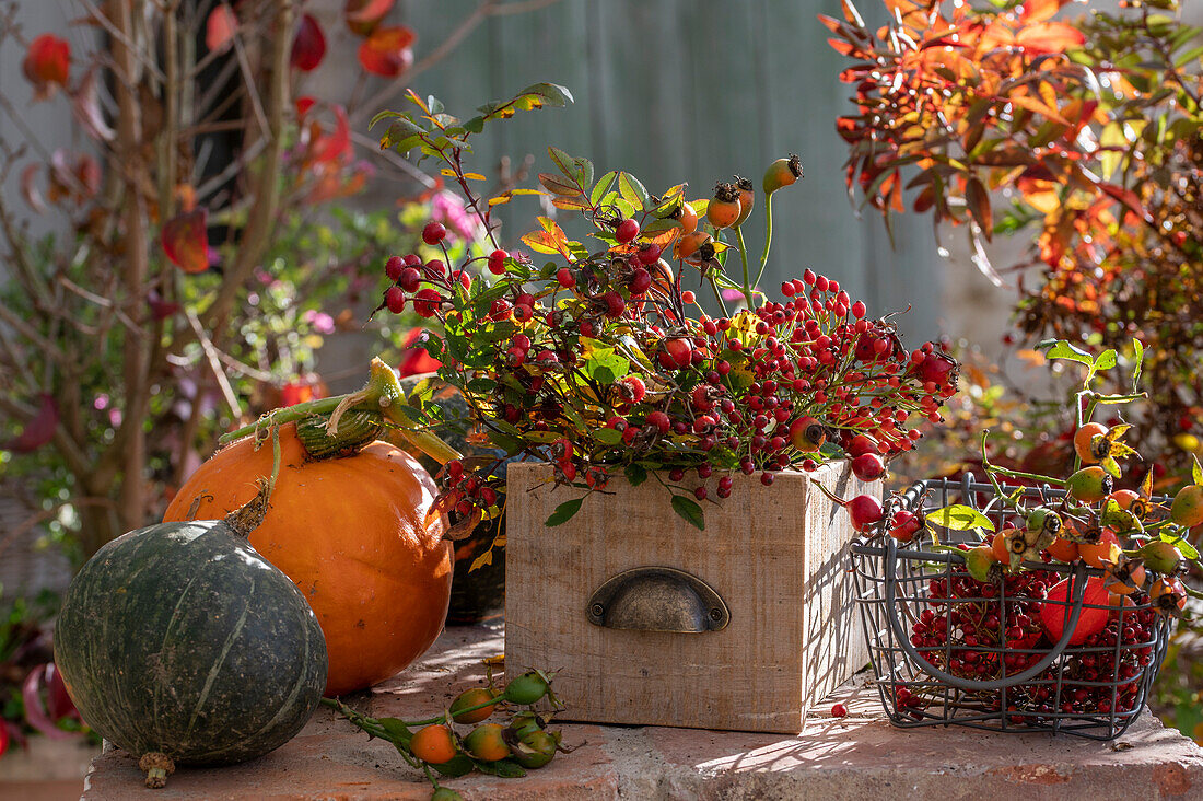 Herbstliches Arrangement mit Kürbissen und Hagebuttenzweigen