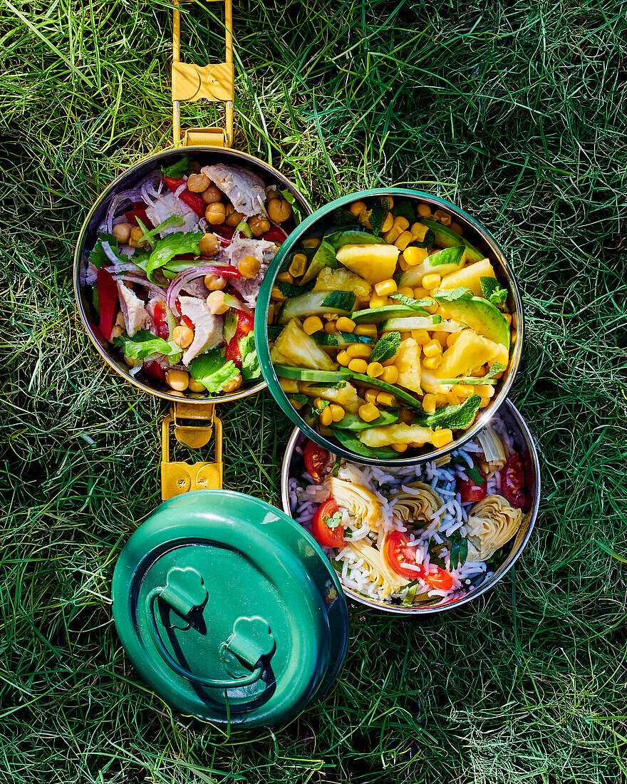 Various salads for a picnic in the grass