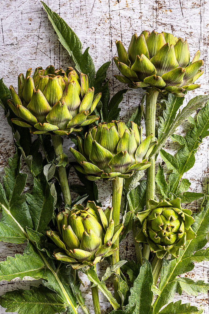 Artichokes on a wooden background