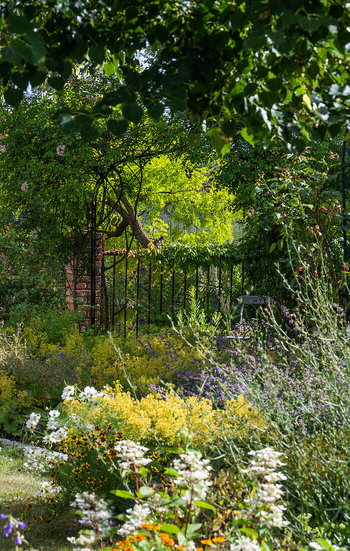 Summer garden with perennial beds