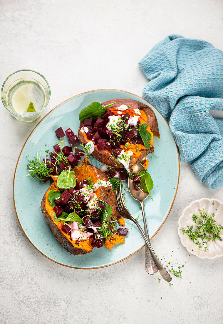 Sweet potato with beetroot, yoghurt and cress