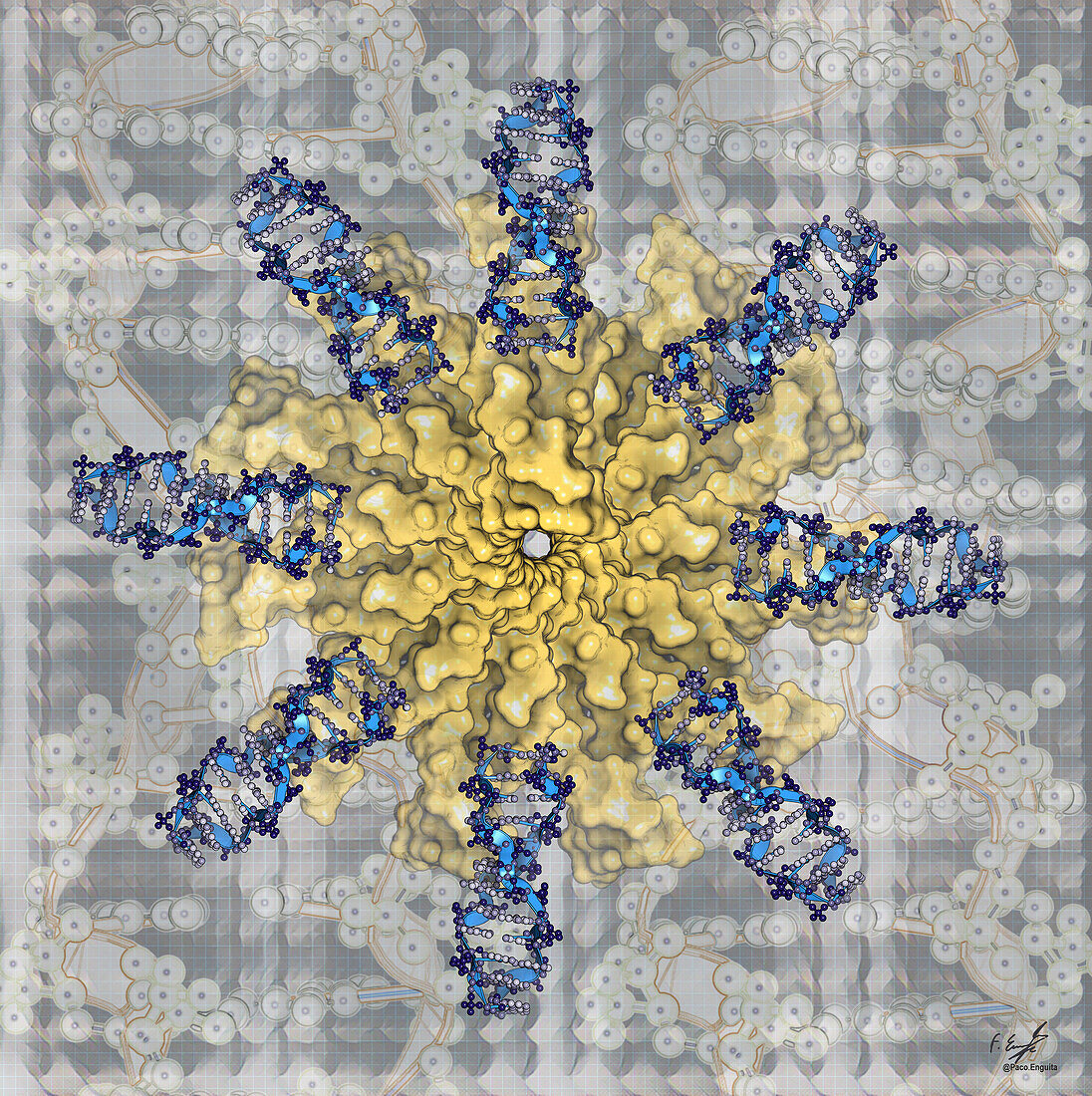 Z-DNA molecules, illustration