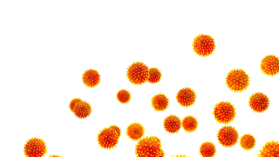 Hepatitis virus particles, illustration