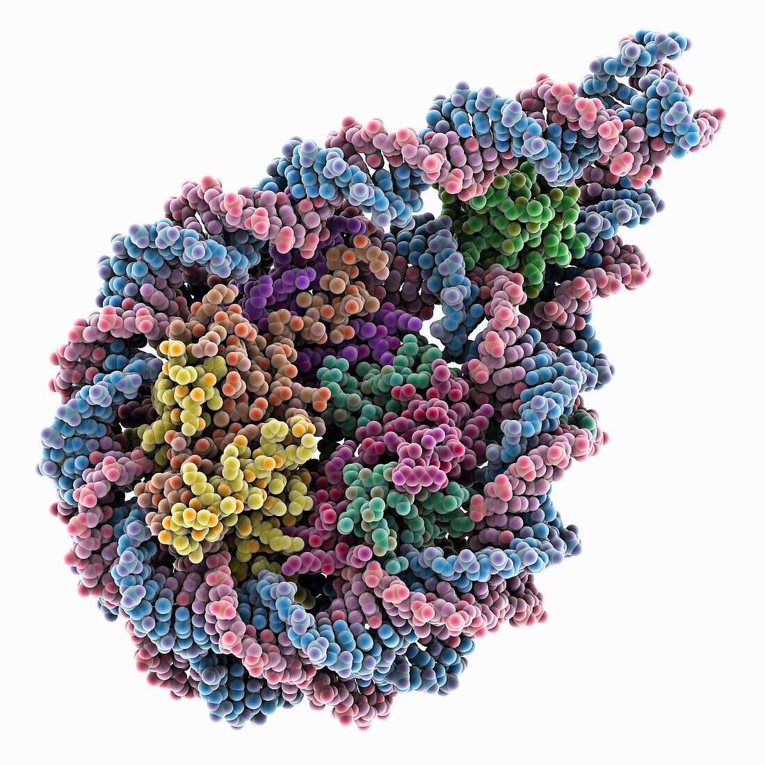 Palindromic nucleosome, illustration