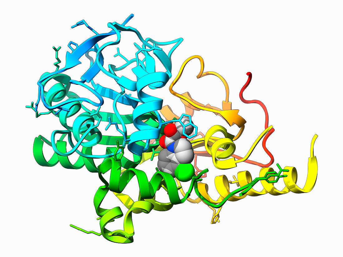 Notum carboxylesterase with inhibitor, illustration