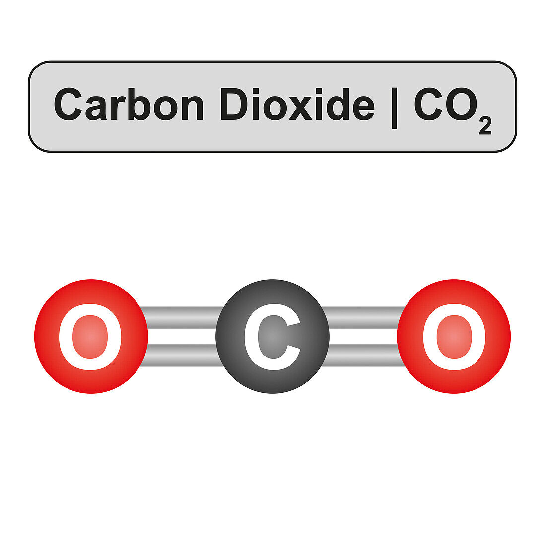 Carbon dioxide molecule, illustration