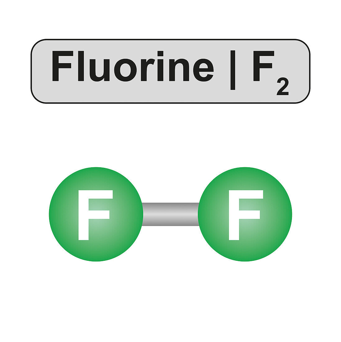 Fluorine molecule, illustration