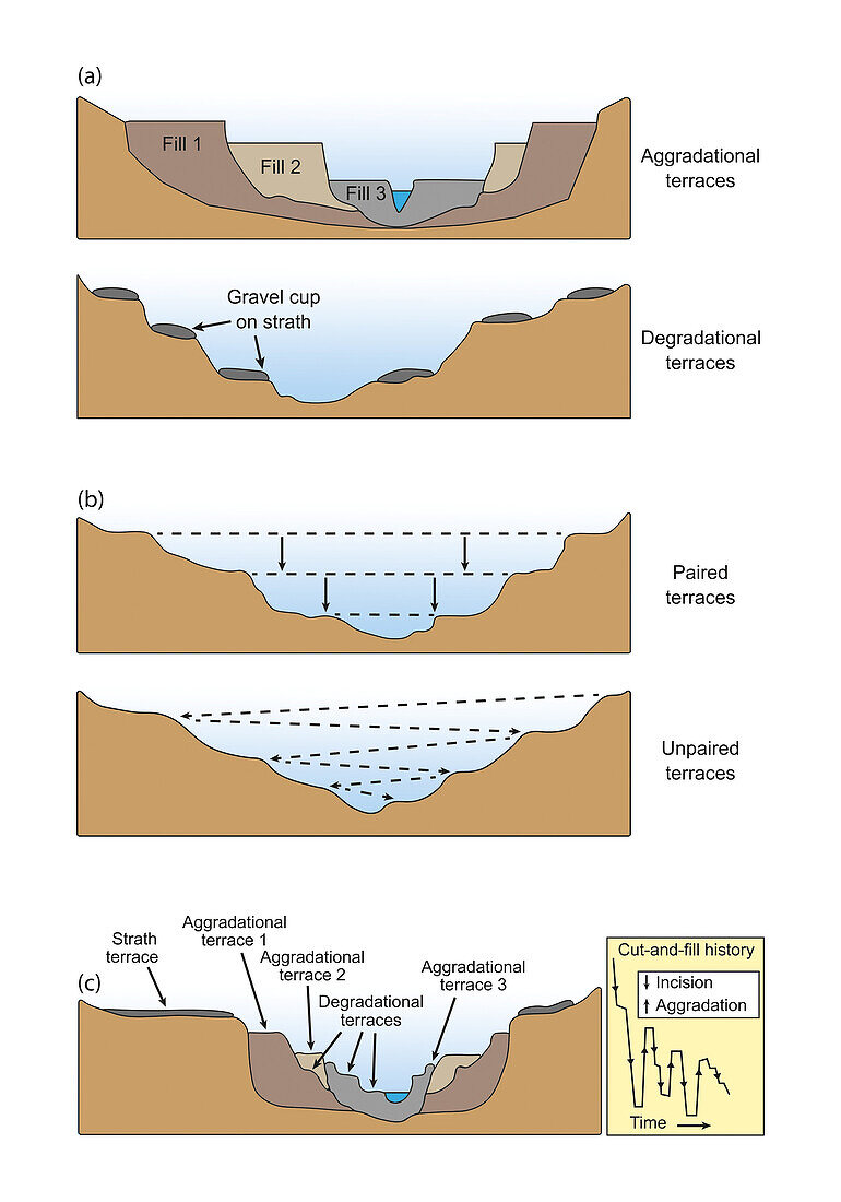 Formation of river terraces, illustration