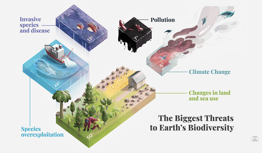Biodiversity threats, illustration