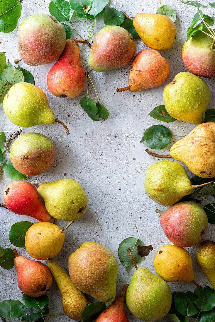 Different types of pears as a frame