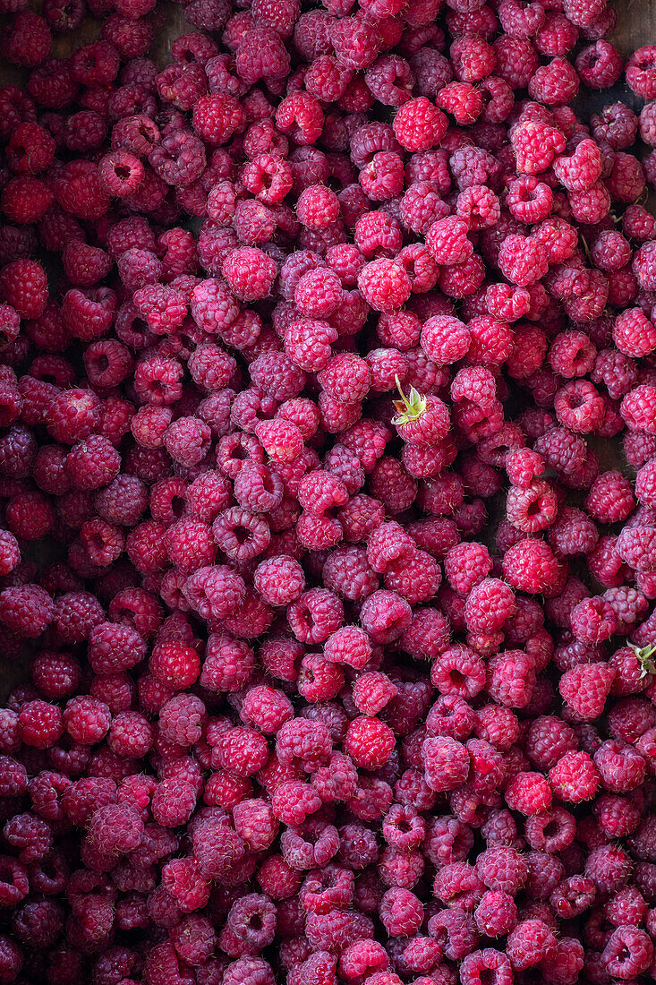 Frische Himbeeren, Fläche