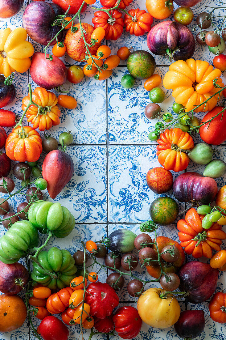 Bunte Tomatenvielfalt als Rahmen