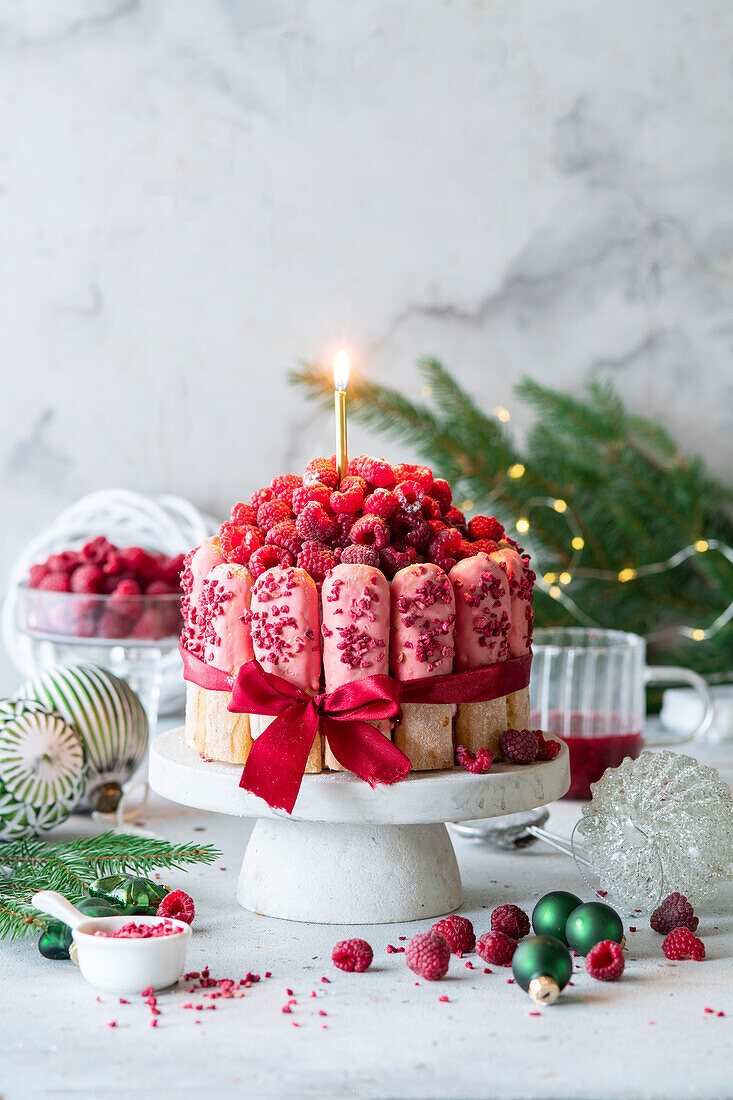 Raspberry Charlotte at Christmas