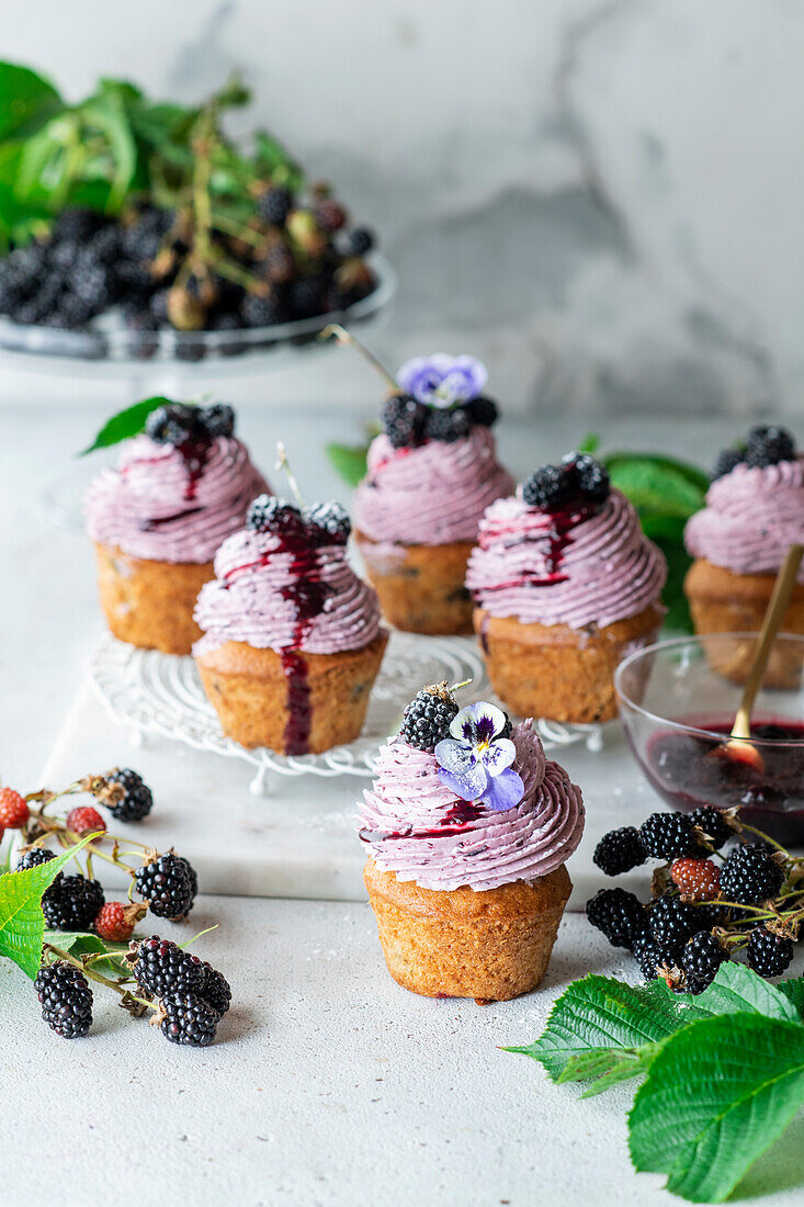 Brombeer-Cupcakes