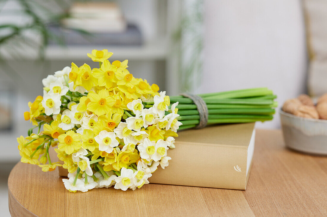 Narzisse (Narcissus) 'Avalanche', 'Grand Soleil d'Or'