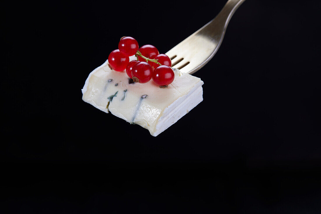 Blue cheese with red currants on fork