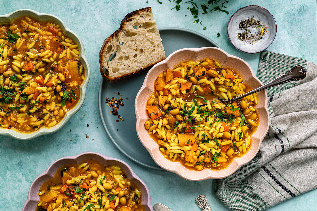 Orzo vegetable soup