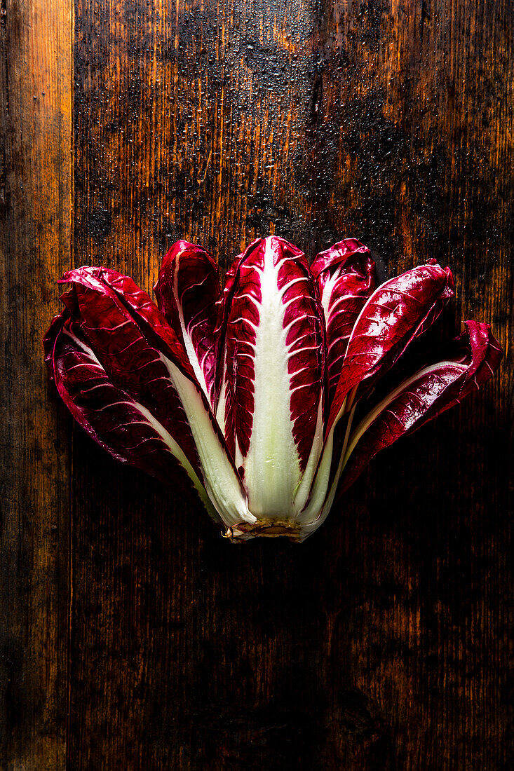 Radicchio di Treviso