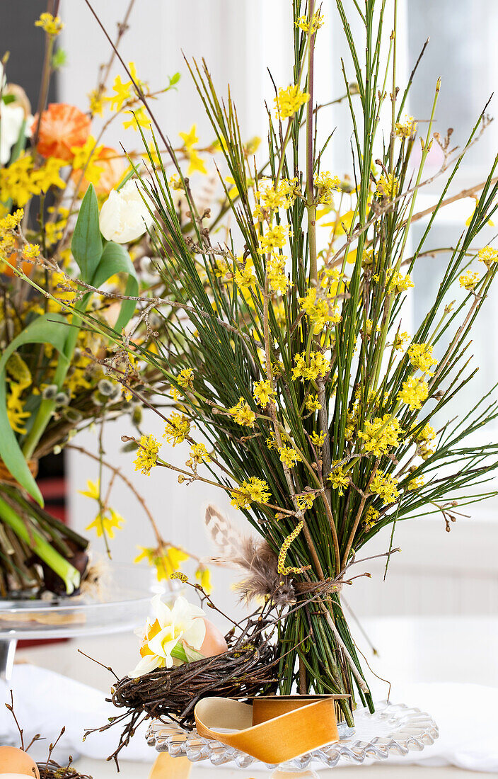 Spring bouquet of broom (Genista)