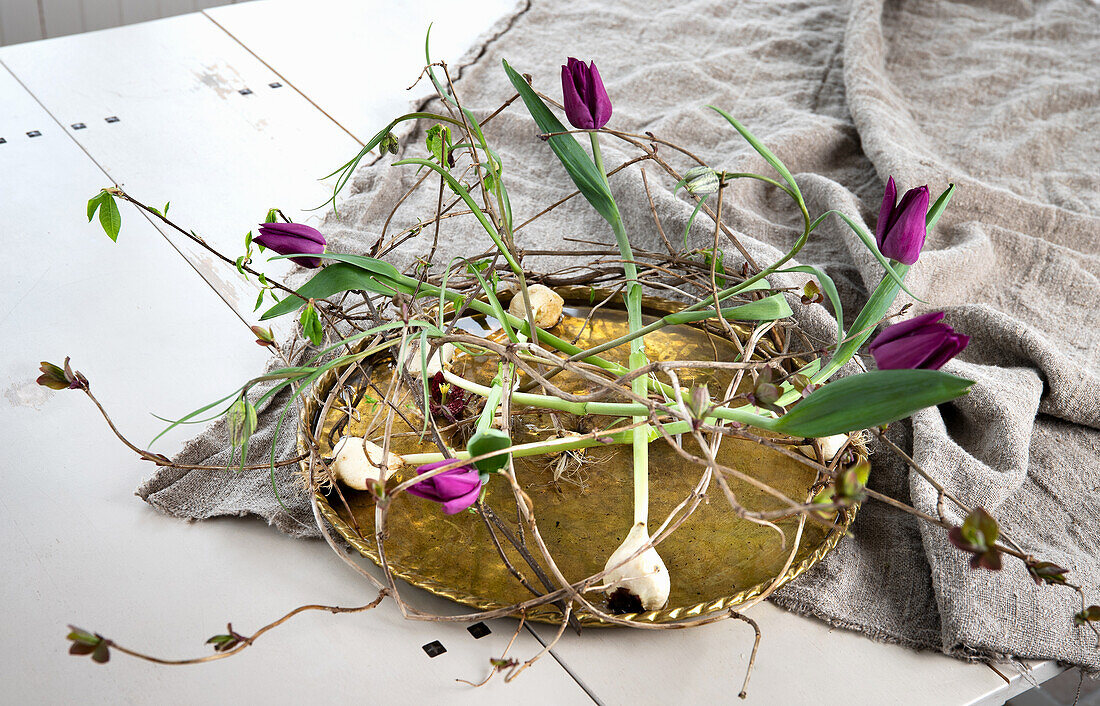 Garden honeysuckle (Lonicera) decorated with tulips (Tulipa) on an old tin plate