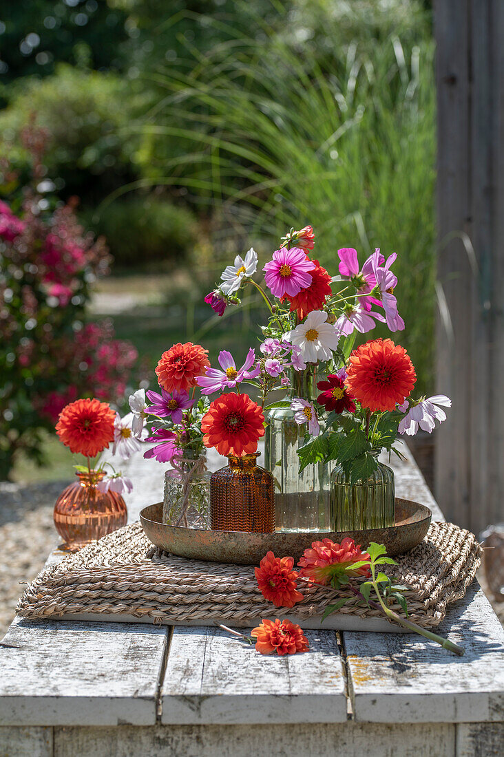 Dahlia and ornamental basket flowers in glass vases