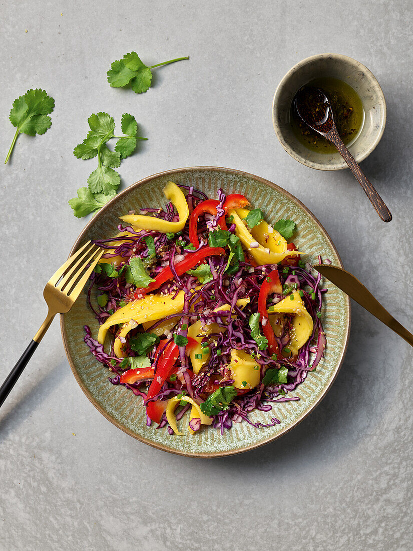 Veganer Rotkohl-Mango-Salat mit Paprika