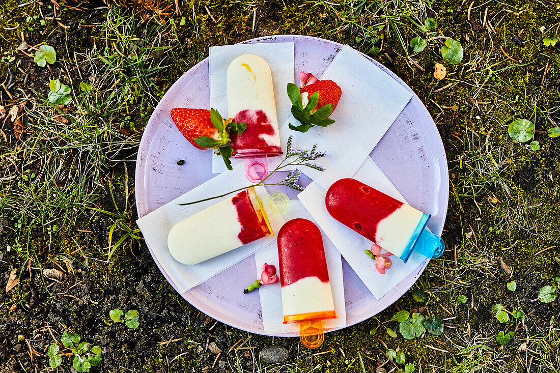 Strawberry-yoghurt ice cream pops