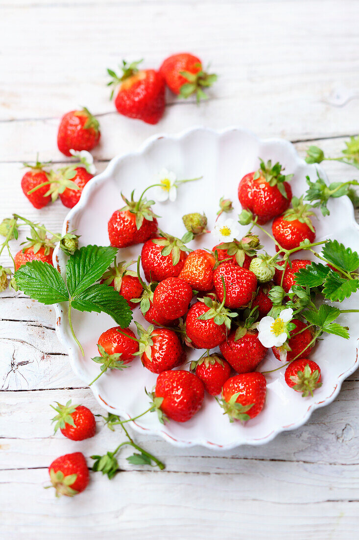 Fresh strawberries with leaves and flowers