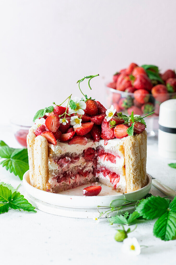 Strawberry tiramisu cake