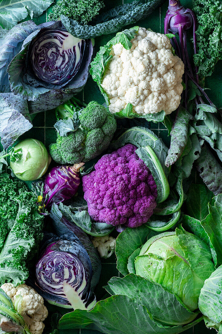 Colorful cabbage (full picture)