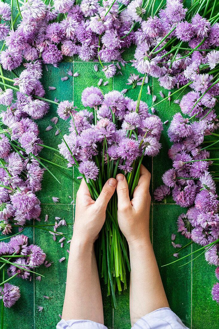 Chive blossoms