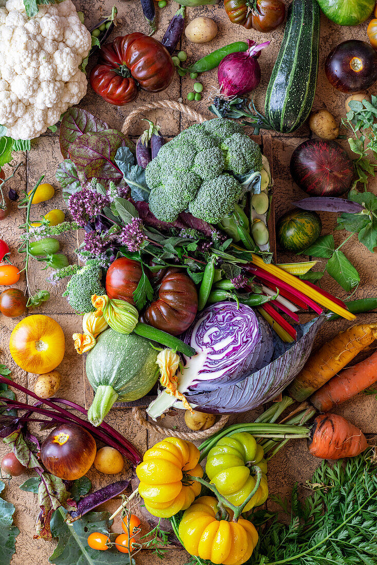 Colorful vegetable still life