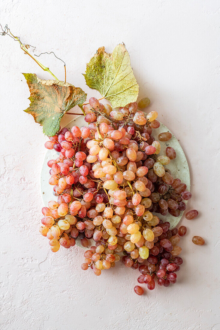 Pink grapes