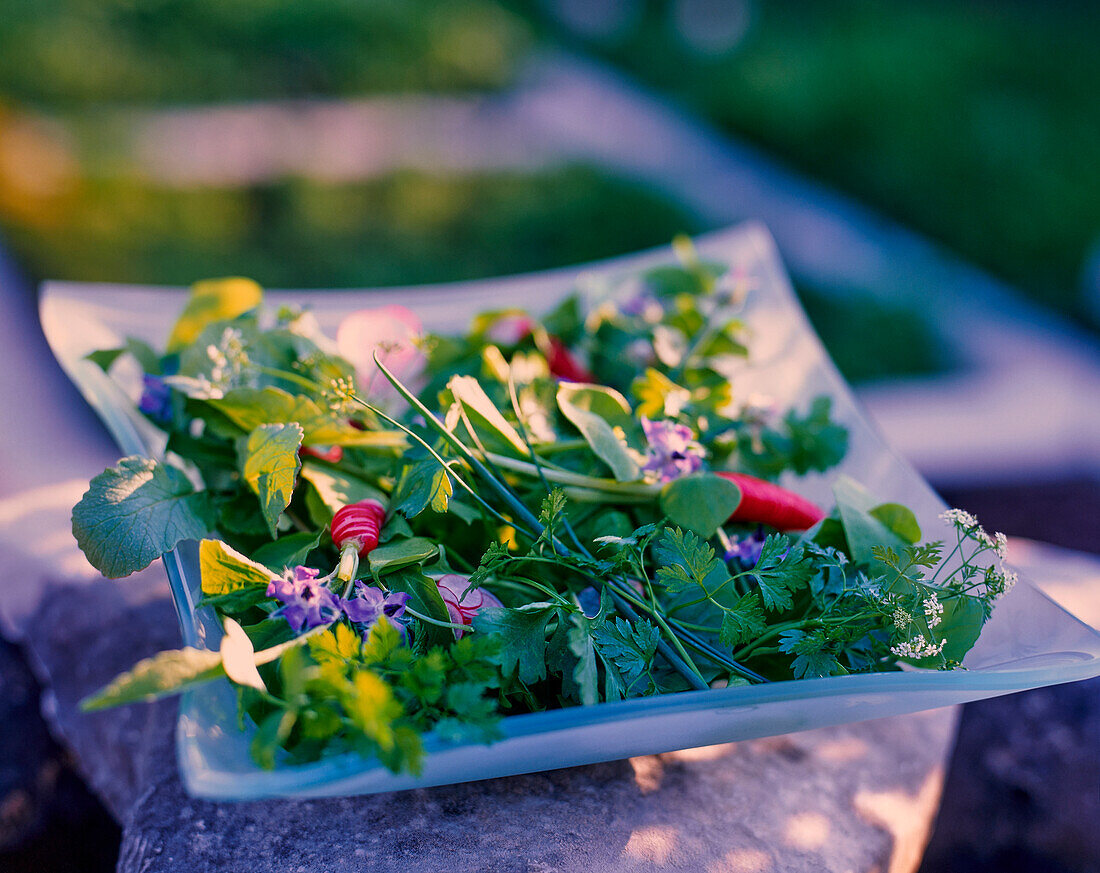 Herb salad