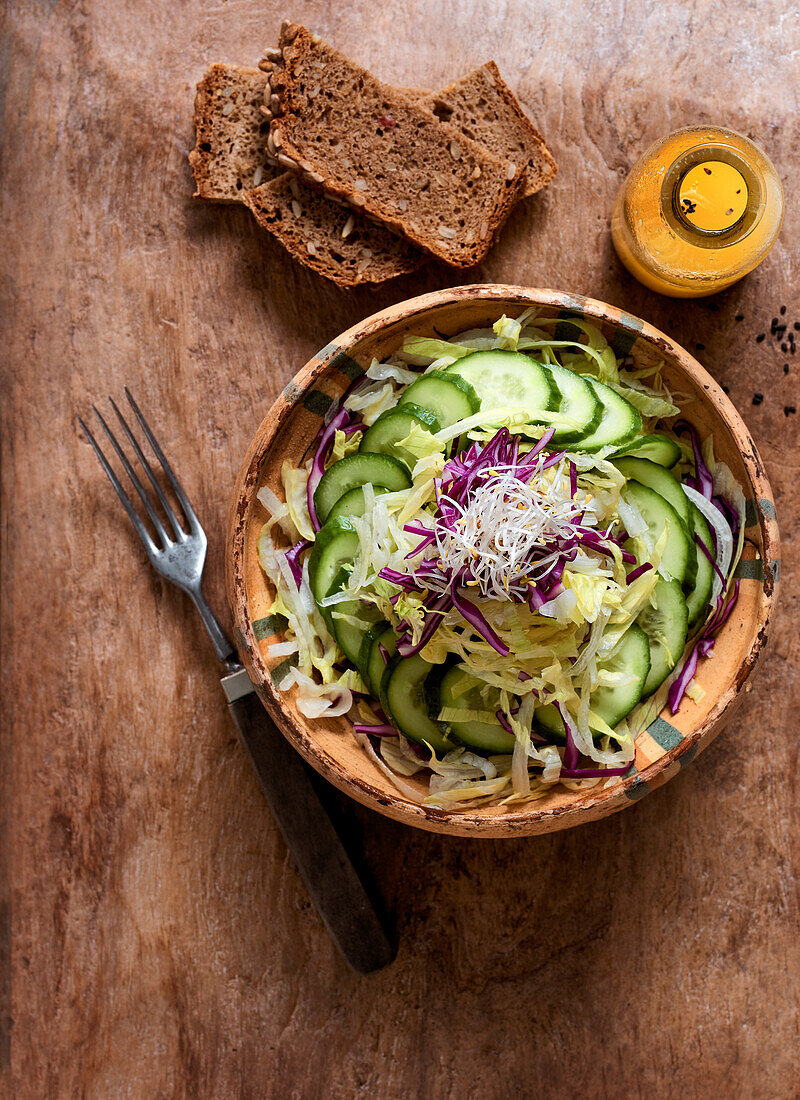 Spitzkohl-Rotkohl-Salat mit Gurken und Radieschensprossen