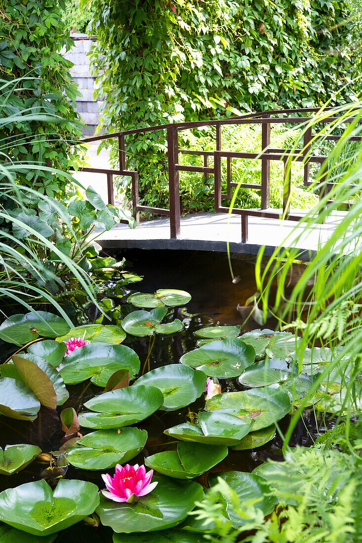 Gartenbrücke über einen Seerosenteich umgeben von Grün