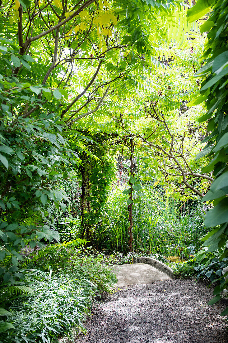 Gartenweg umgeben von üppigem Grün