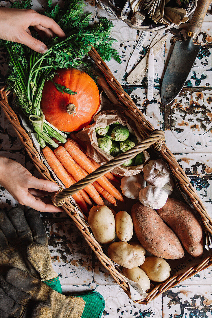 Fresh autumn vegetables in a basket