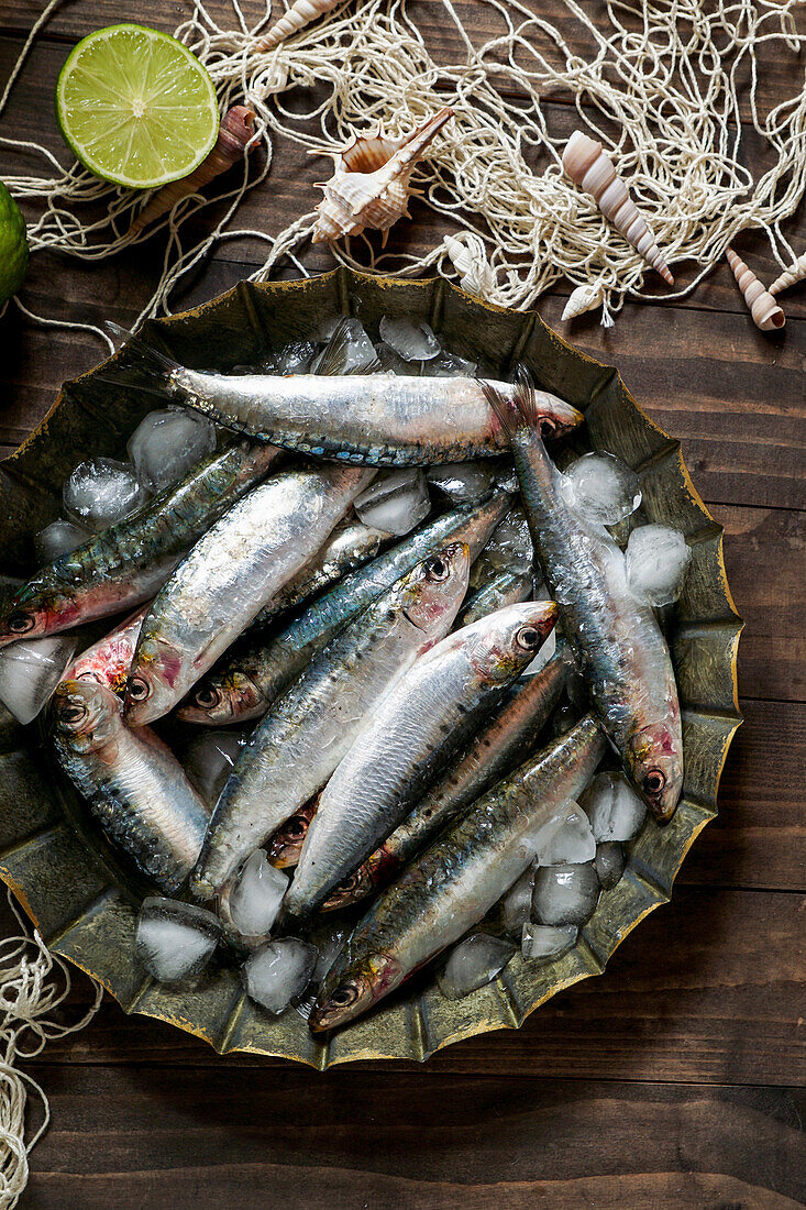 Fresh sardines and ice on metal plate on rustic wooden background