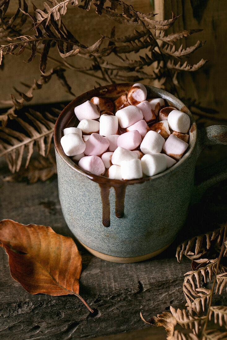 Hot, spicy homemade hot chocolate with pink marshmallows