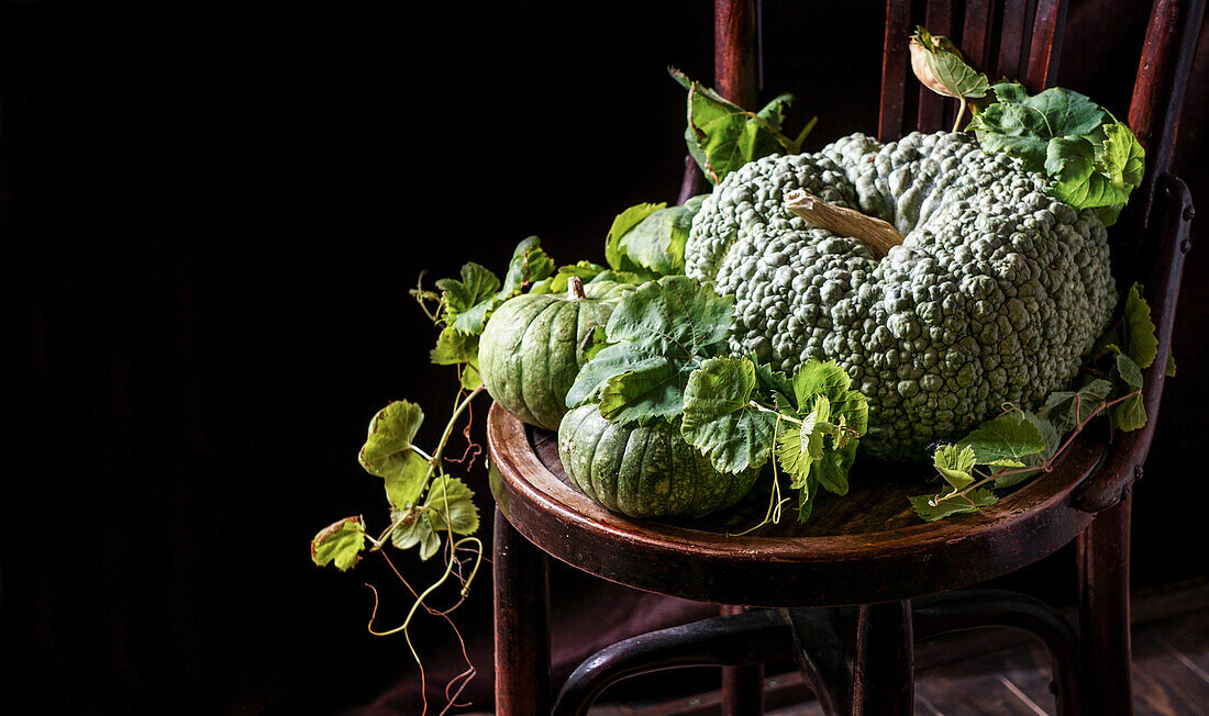 Autumn still life with green pumpkins