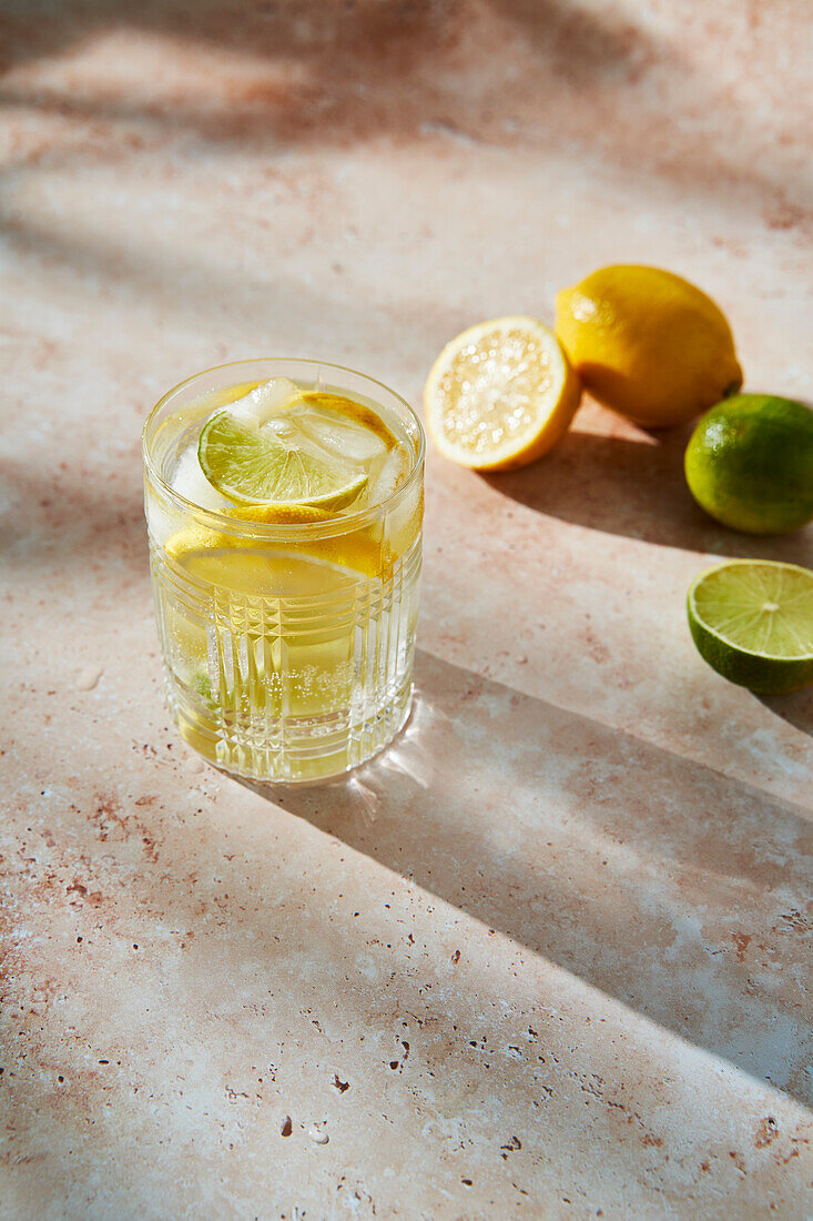 Lemon-Lime Sparkling Fizz Cocktail