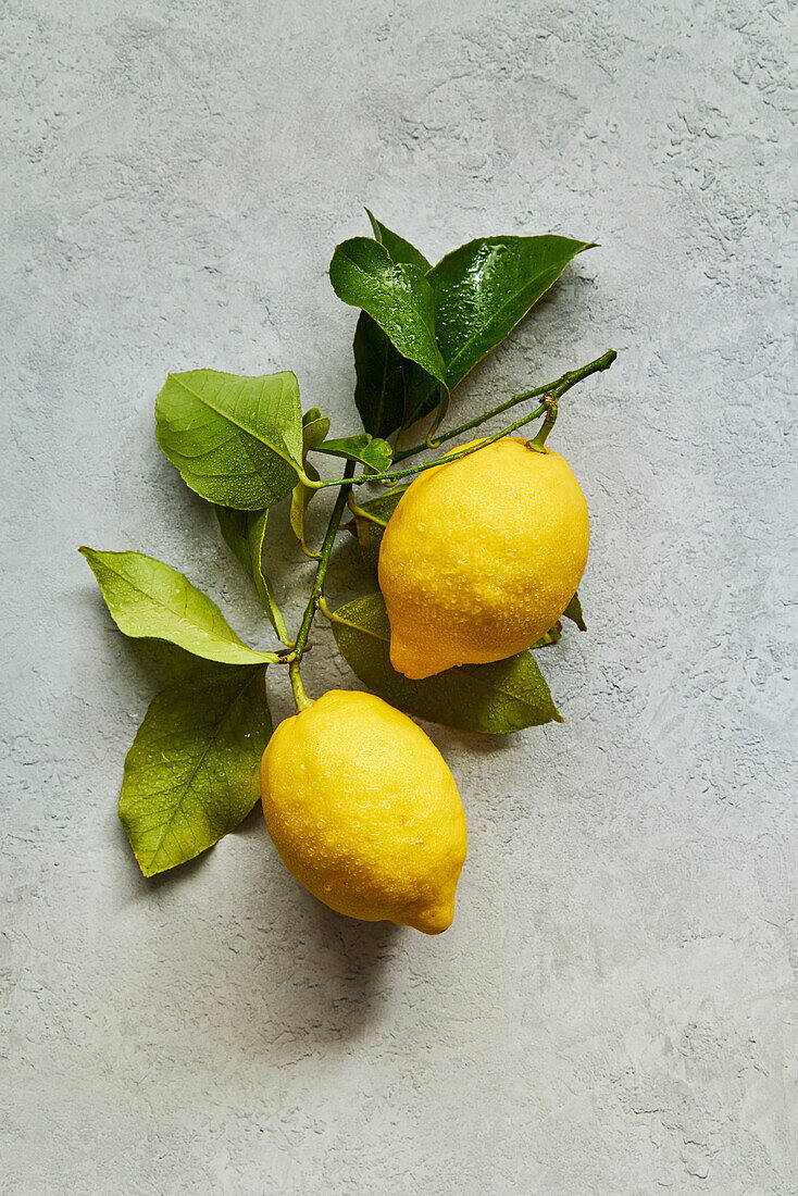Sicilian lemons on a concrete base